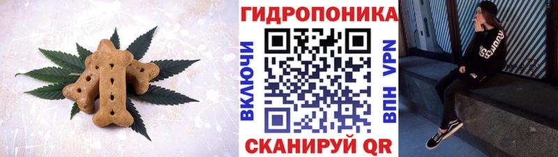 Cannafood конопля  магазин продажи наркотиков  Оленегорск 