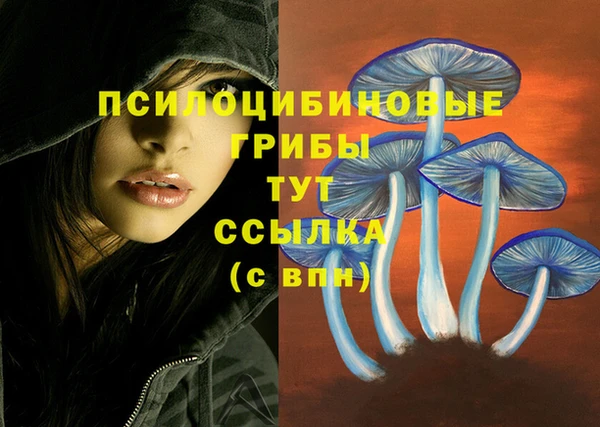мефедрон Нефтекумск