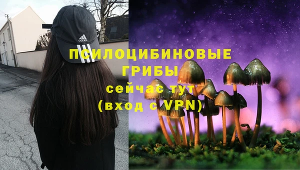 меф Нефтегорск