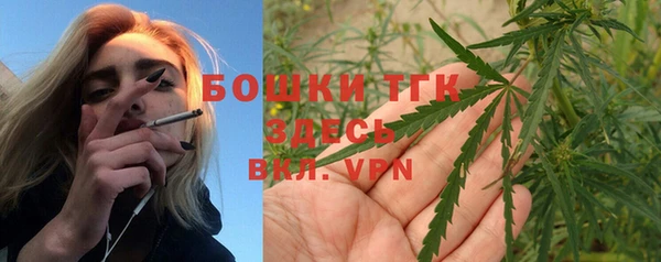 сатива Новокубанск